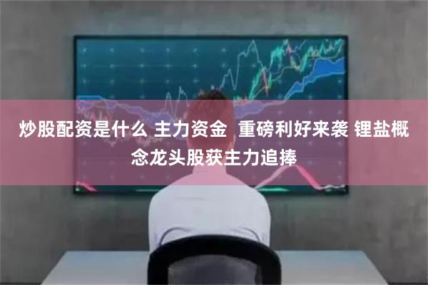 炒股配资是什么 主力资金  重磅利好来袭 锂盐概念龙头股获主力追捧
