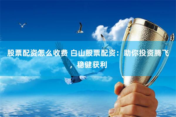 股票配资怎么收费 白山股票配资：助你投资腾飞，稳健获利